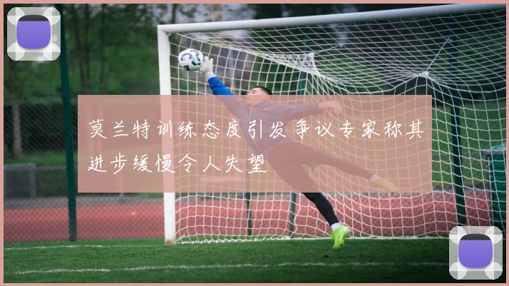 莫兰特训练态度引发争议专家称其进步缓慢令人失望