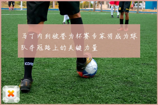 马丁内利被誉为杯赛专家将成为球队夺冠路上的关键力量