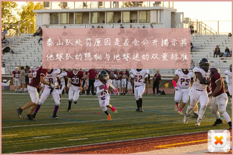 泰山队处罚原因是否会公开揭示其他球队的隐秘与地球迷的双重标准