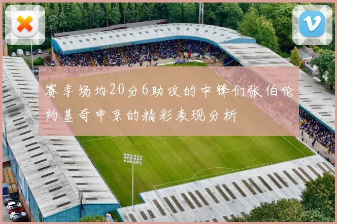 赛季场均20分6助攻的中锋们张伯伦约基奇申京的精彩表现分析